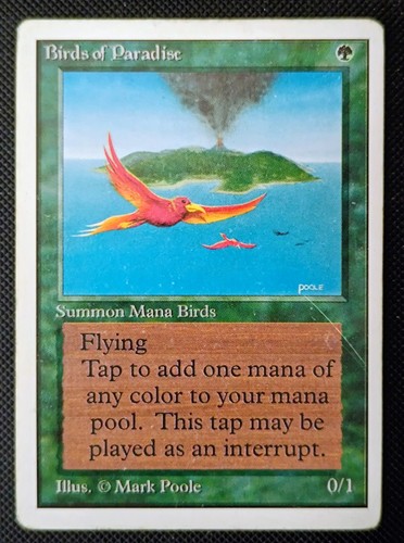 Mtg birds of paradise - birds,