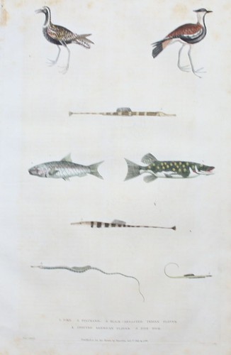 1780 hecht pike - 1780,