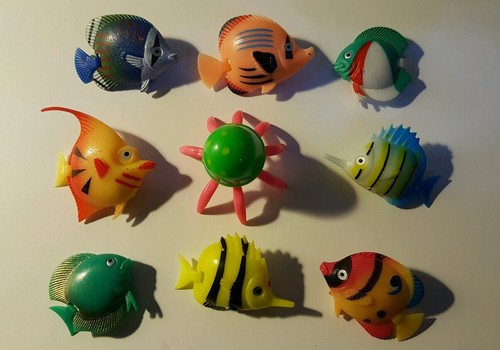 Fische qualle für - -,
