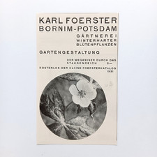 1931 Karl Foerster Gärtnerei