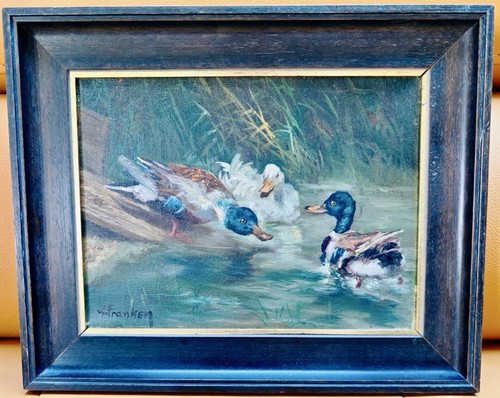 Willy franken enten - willy,