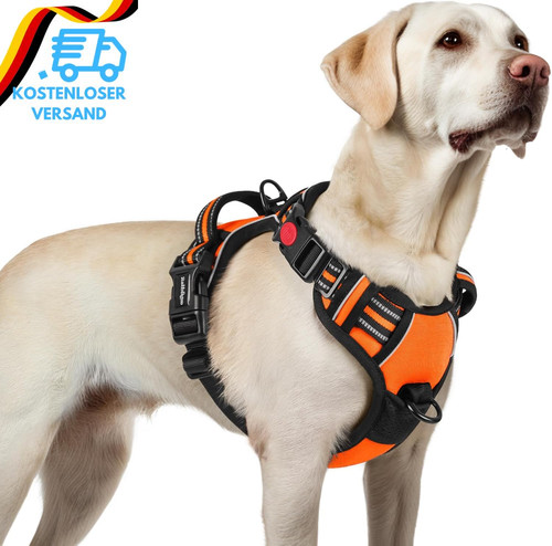 Rabbitgoo hundegeschirr grosse - rabbitgoo,