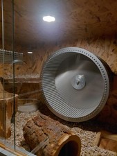 Nager Metalllaufrad Vollalu, Degu, Wandmontage, sehr hochwertig!!!