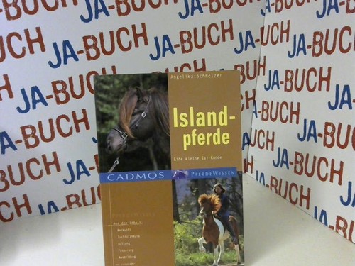 Islandpferde eine kleine - islandpferde:,