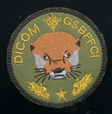 INTENDANCE / DICOM GSBFFCI - GRÜNER HINTERGRUND - STOFF FAB LOCAL RCI