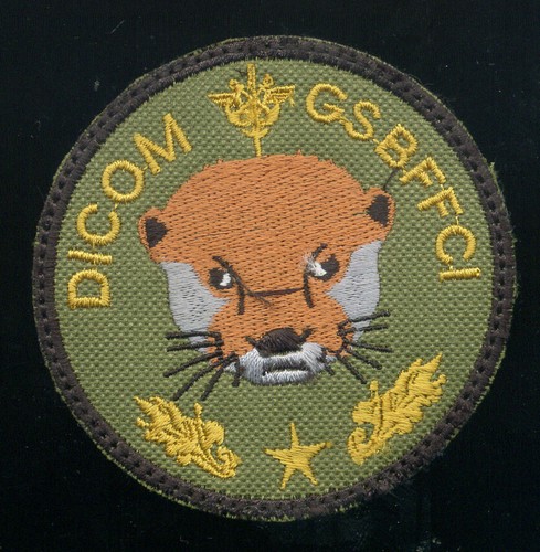 Intendance dicom gsbffci - gsbffci,