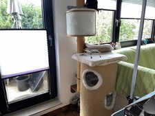 Wandkratzbaum Dolomit Grappa Kratzbaum Wandmontage XXL Katzenbett Kletterbaum