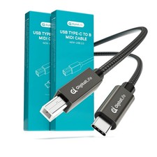 Musik USB C auf B 2er Pack 2