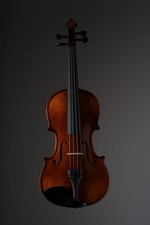 Cremona Violin SV-500 incl