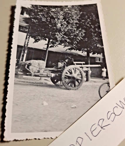 Altes foto vintage - altes,