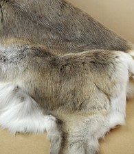 Authentisches Rentierfell aus Schweden – Dekorativ & Warm – 120-140 cm - Berlin
