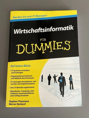 Wirtschaftsinformatik für