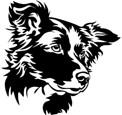 Border collie aufkleber - border,