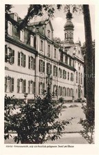 Nonnenwerth insel rhein - nonnenwerth,