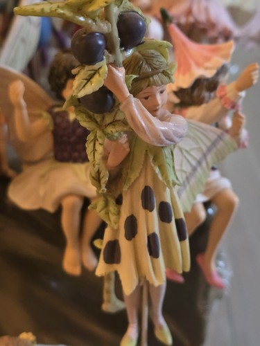 Flower fairies schlehenfee - fairies,