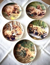 5 Süße Golden Retriever Welpen Serie FRANKLIN MINT Sammelteller Robert Christie