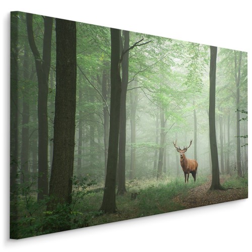 Canvas leinwand bilder - bilder, xxl
