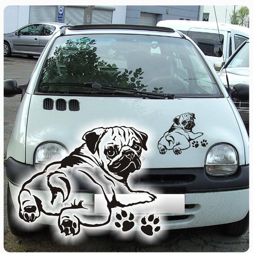 Auto aufkleber mops - aufkleber, pug