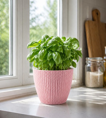 Blumentöpfe rosa 0 x - blumentöpfe,