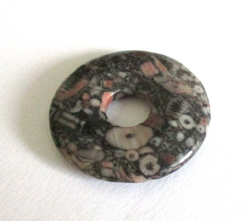 Donut seelilie trochit - -, ~