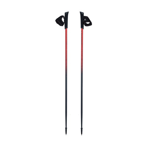 Kijki nordic walking viking - nordic,