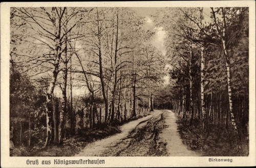 Königs wusterhausen in - ak,