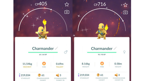 Shiny charmander - ✨shiny,