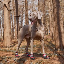4X Hundeschuhe Stiefel