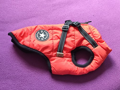 Wintermantel für kleine hunde - kleine,