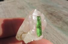 TOP Turmalin Kristall Verdelit