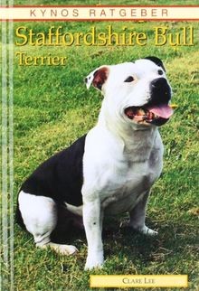 Staffordshire bull terrier - staffordshire,