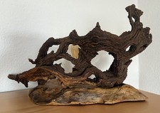 Wurzelskulptur/Tischlampe aus