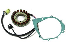 Lichtmaschine Stator für
