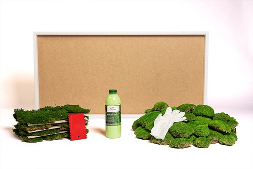 Diy set moosbild geschenkidee - diy,