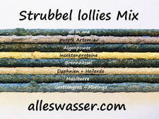 🔥 original STRUBBEL shrimp