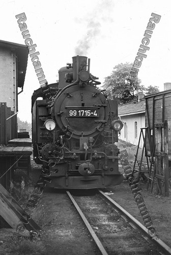 Fotoabzug 10x15 99 - pe-fotoabzug,