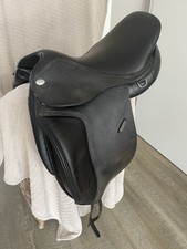 Jaguar by Harry Dabbs