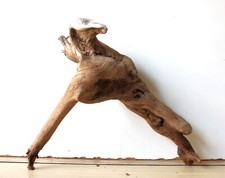 Treibholz Schwemmholz