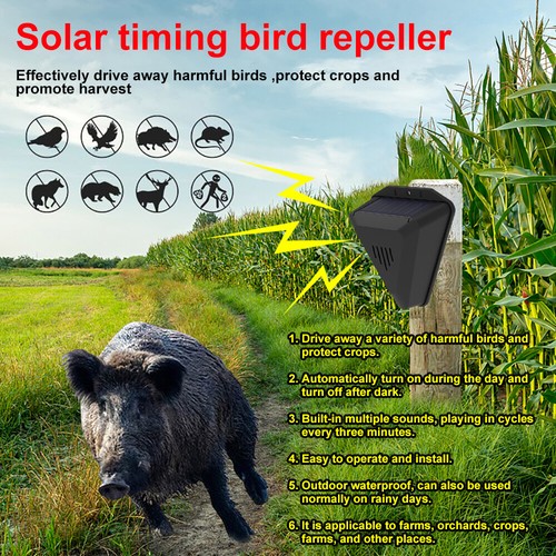 Solar bewegungsmelder alarm - solar,