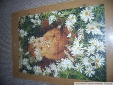 Kellerfund Dachbodenfund