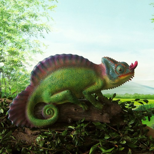 Chameleon auf einem ast - chameleon,