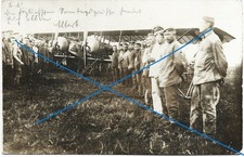 Luftkrieg 1WK - Flugzeug Beute Grossflugzeug a. England ? mit Staffelabzeichen