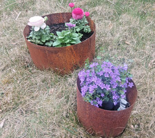 Edelrost Baumring Hochbeet