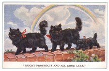 AK Katzen, 2 schwarze Katzen und kleine schwarze Katze auf Mauer, Regenbogen