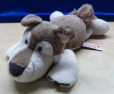 12882 hund husky liegend - hund,