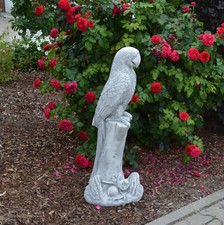 Papagei Vogel Raumdeko