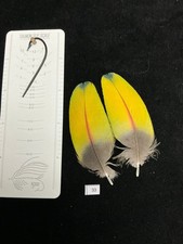 Naturally molted  feathers for