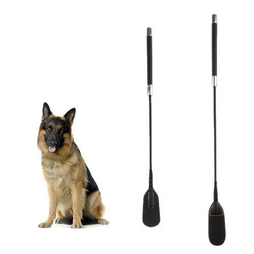Peitsche für hunde - für,