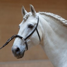 Kieffer Kappzaum ANJA BERAN