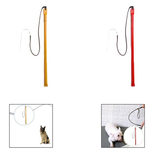 Hundetraining mit der
